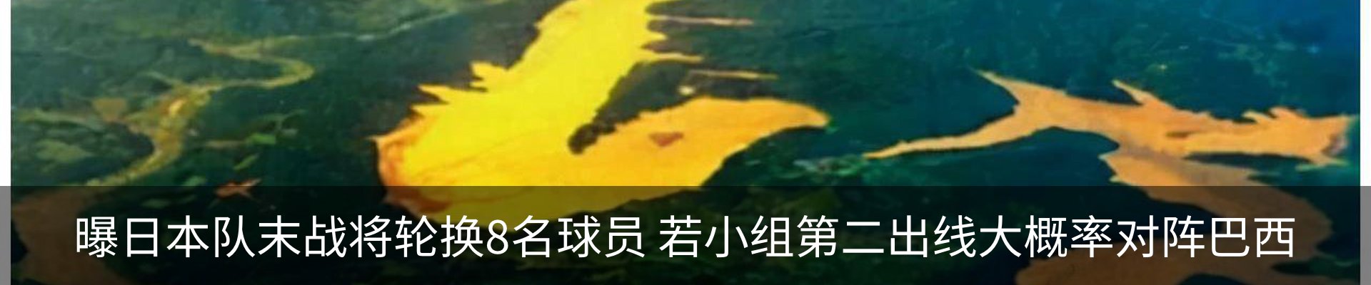 行业资讯